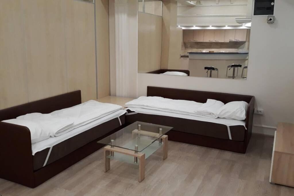 Le Coin De Simon Apartment เบลเกรด ภายนอก รูปภาพ